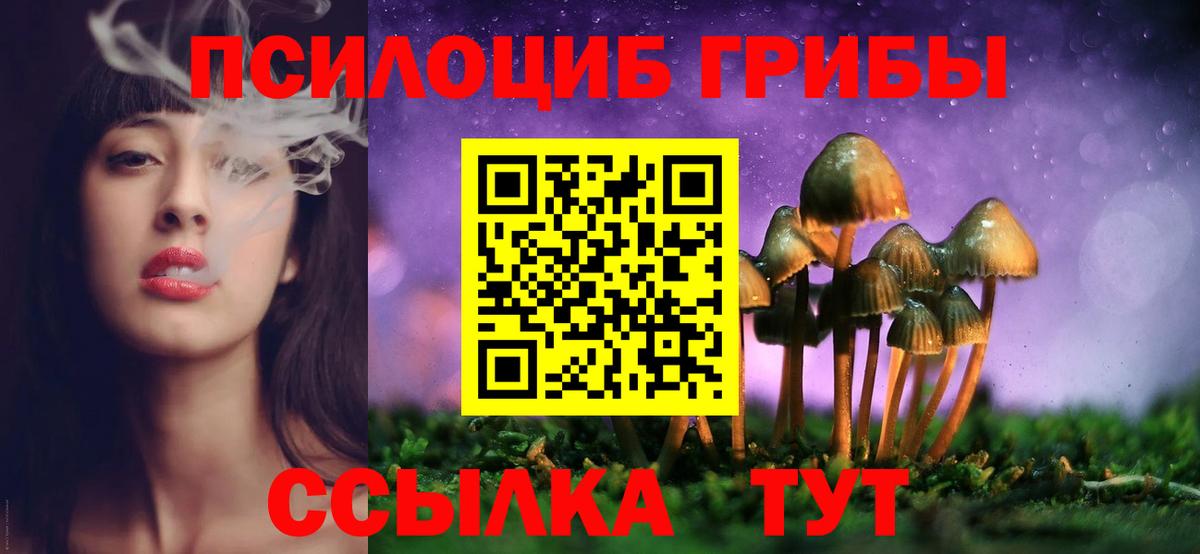 Прокопьевск  Псилоцибиновые грибы GOLDEN TEACHER  Вход с VPN 